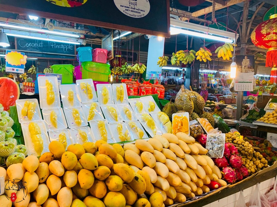 2101AC91-D11C-4A1C-921C-E45A8A4F88CA