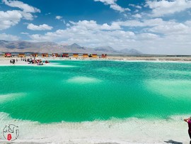 136498CF-6D81-437D-84D0-14CB3751EA52