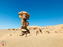 73250EEF-968D-4041-86E0-987E90E8321A