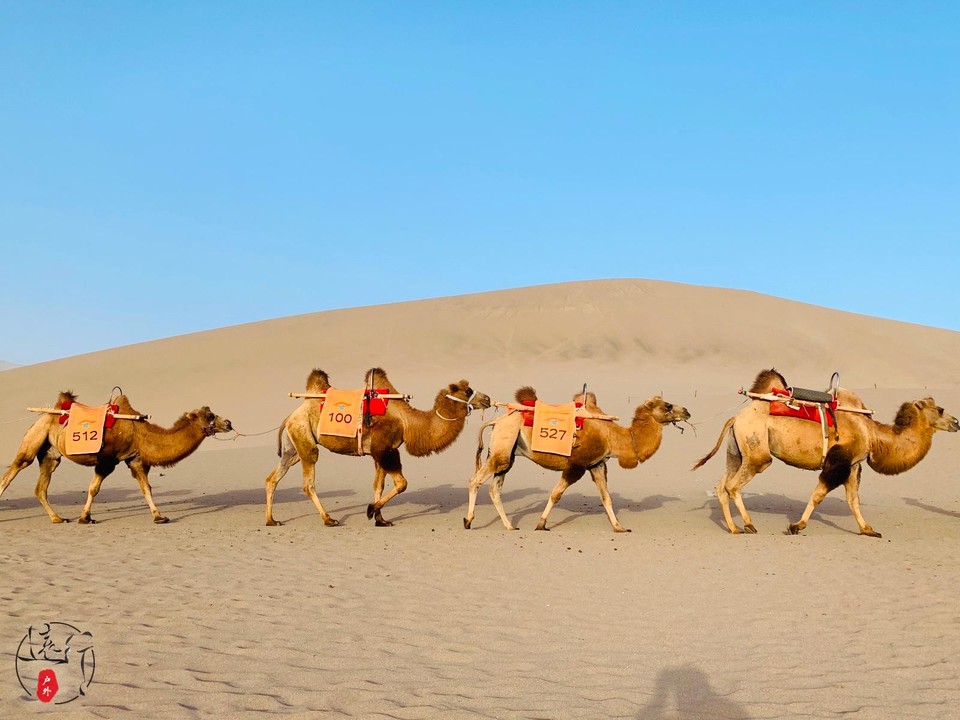 B2898901-8CFC-48EA-A499-CF548CC8B840