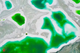 26534166-CF68-4709-B6AA-60D15C3FB3BD