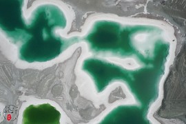 FB72CBFF-27D6-4831-85CB-3CCCAE25097A