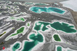 95F31CC7-5D93-4016-B1D9-CA1B74EEDA38