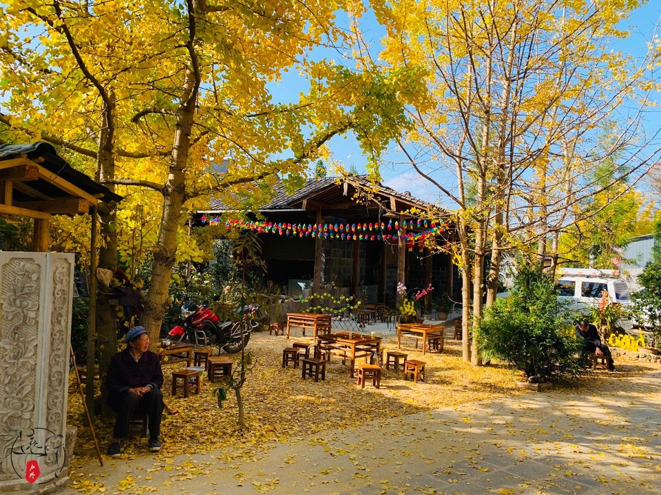 958AF98F-C081-497E-B07A-A0D7F2F44769