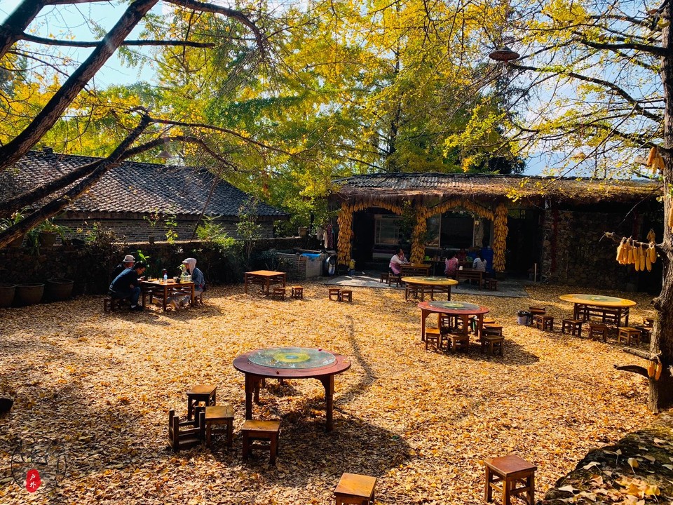 6CA2EC4E-700D-445F-9577-932FB1B3F926