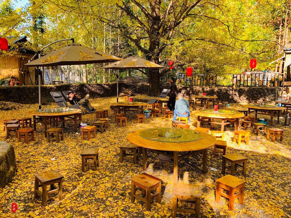 7BBD48EE-82C0-447C-A889-CBA87F76BB11