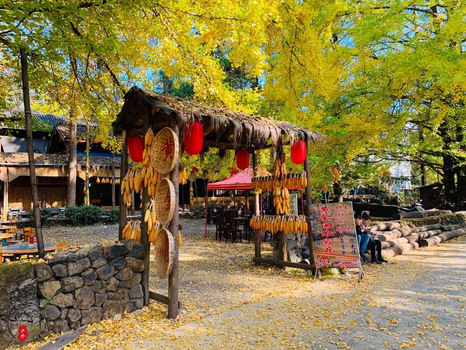 63F4AE0B-7214-4F48-97D6-AFE4374BBC24