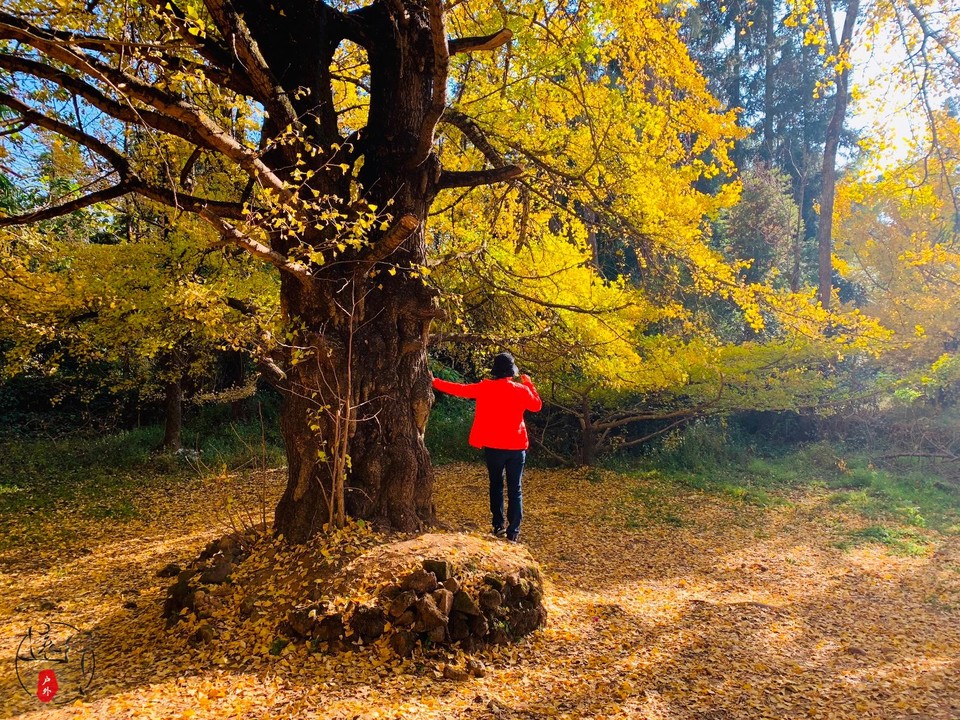 FD7028F4-B297-4F5F-A3A9-F6125F3F2001