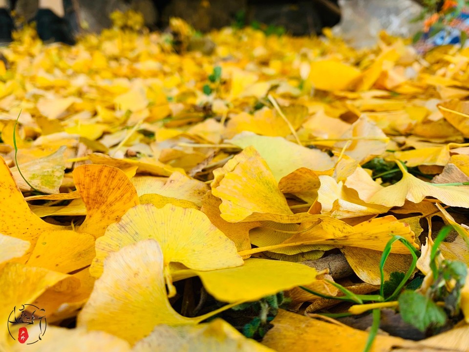 B3FECBF3-1B9C-4D8B-B967-31BC05CF87AC