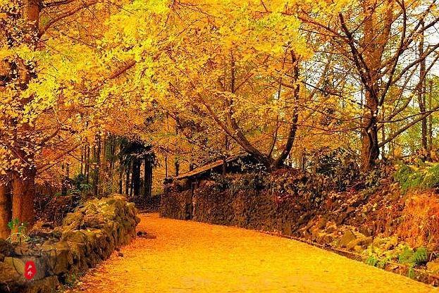 19669866-240C-428F-B136-1A6EEBBB1373