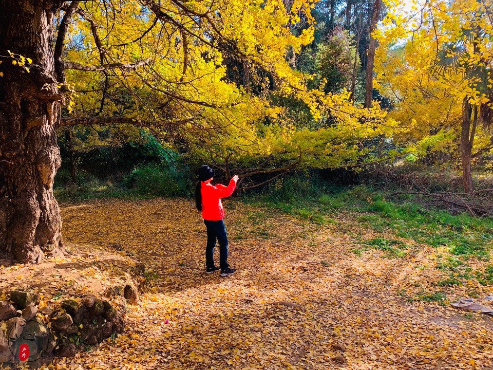 E1B5F2B9-95FF-48F9-95AF-D821C16621D5