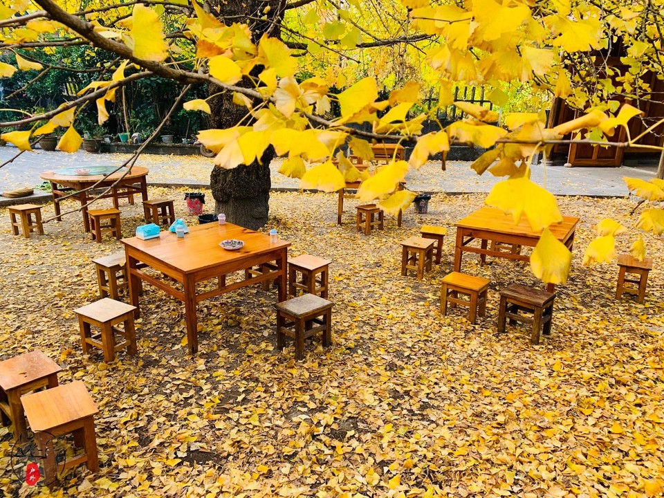 83A646C5-8916-4CA8-BC8B-5F3D1534AFF6