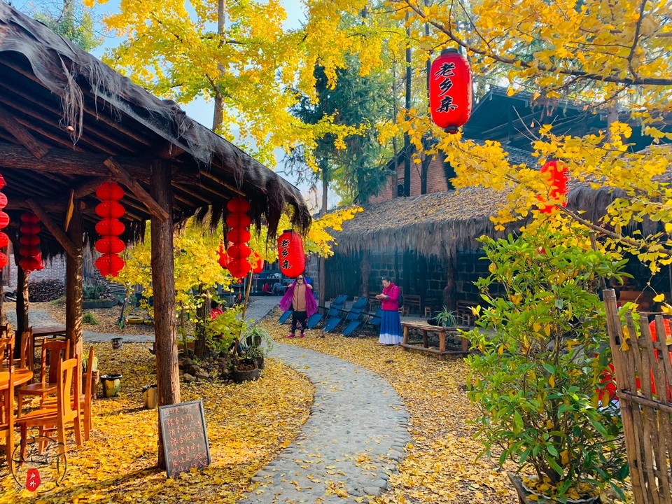 465E21CE-89EA-491E-A641-154ED629A918