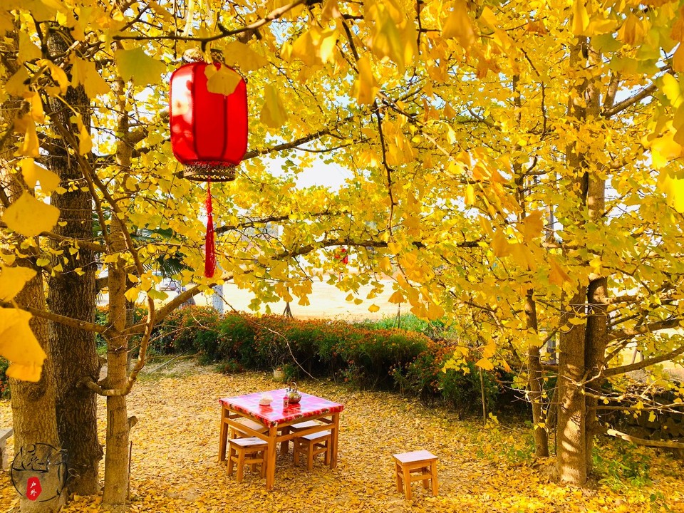 AD611602-A7A5-48E4-B720-C9029AA799E4