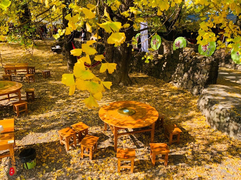 88731D1F-E875-47ED-BBF0-0A73EDCB7660