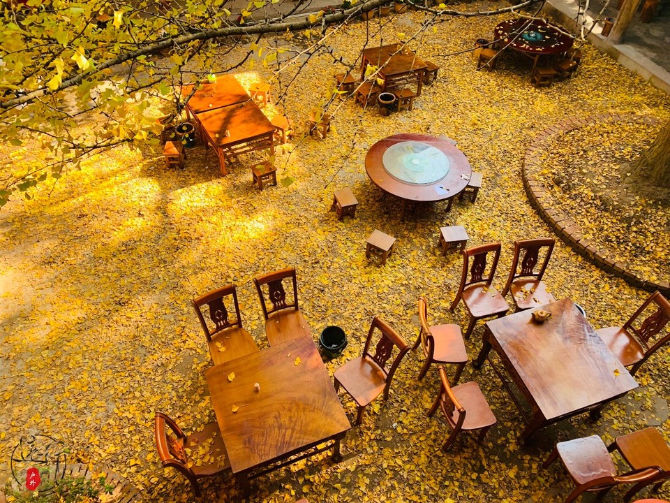 3061920D-E310-4D24-A910-140F57072697