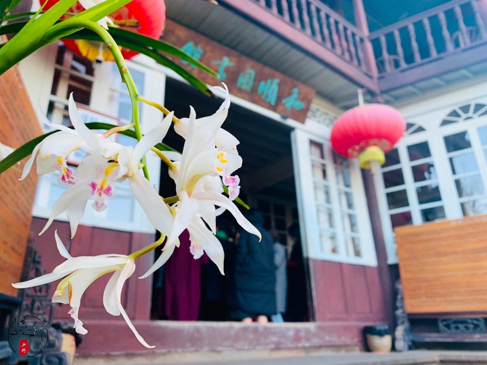 F2F8C1D5-7C54-4457-A54D-A3526CAA3D5F