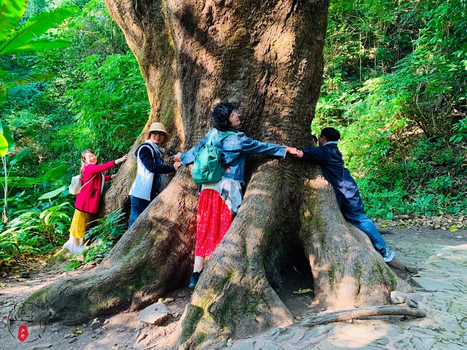 D4AE61E5-ED13-4329-8993-23118ABC526B