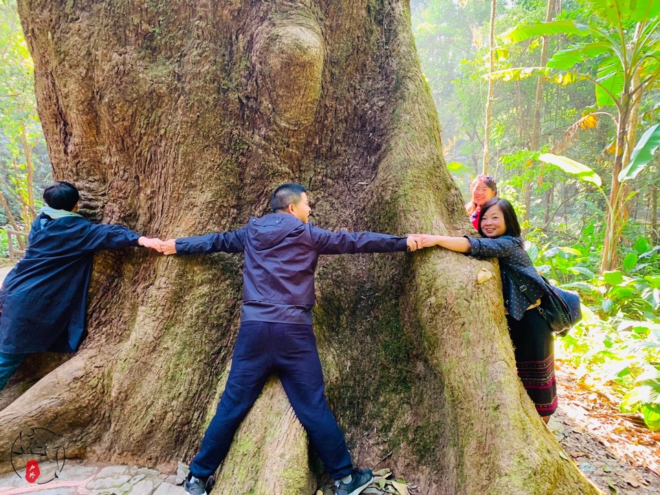 D0633E06-485C-45BF-8327-C982955559E2