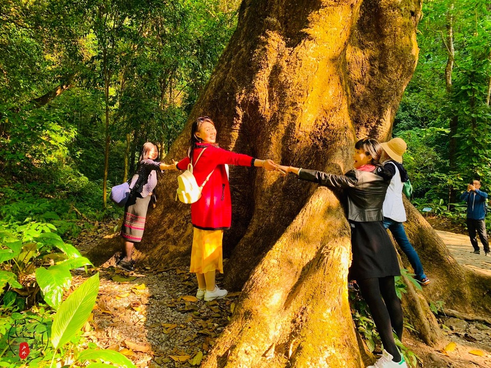 5A2D6D33-8FF2-4C60-90E8-E8004ED43653