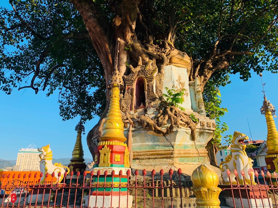 46BC1CB7-E2FF-432A-A740-0FFC3B15334F