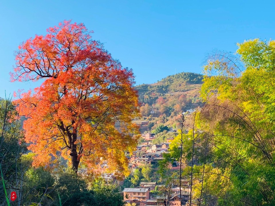 CA02F7CF-3F37-4423-B26B-42EFFC59E6BB