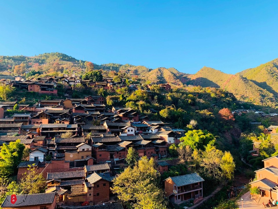 2C560D8E-8700-4626-9D27-38135F8A4131