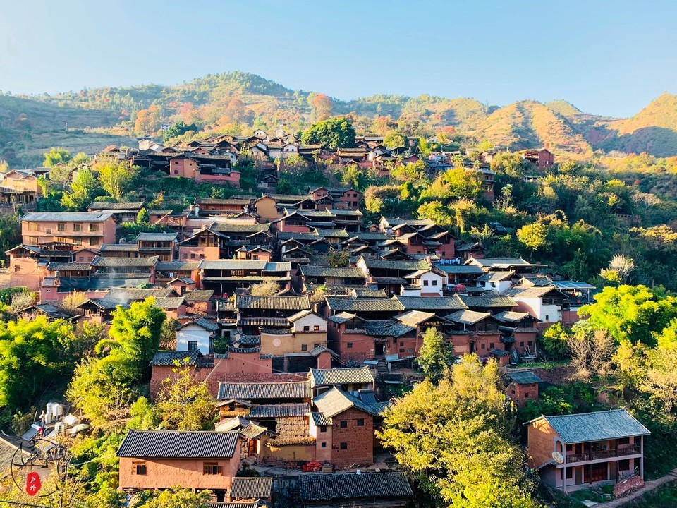 E4478D0F-ACC0-4BBB-A8D0-76612474861C