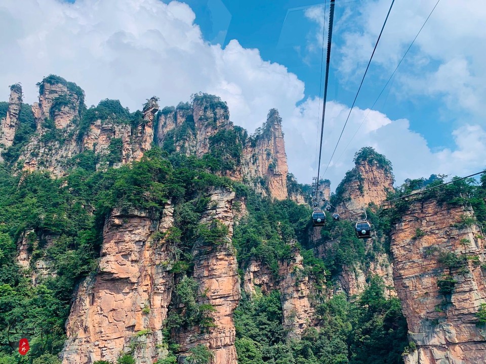 D2F13A8B-856E-4182-B2F8-769452745E1A