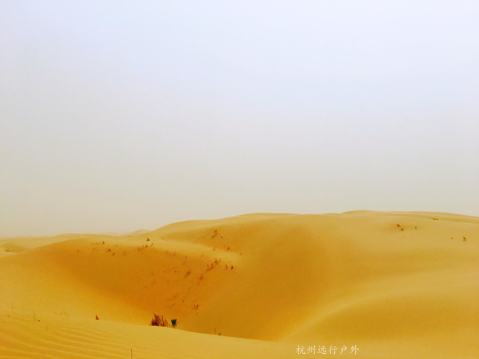 『2018 五一库布齐沙漠』