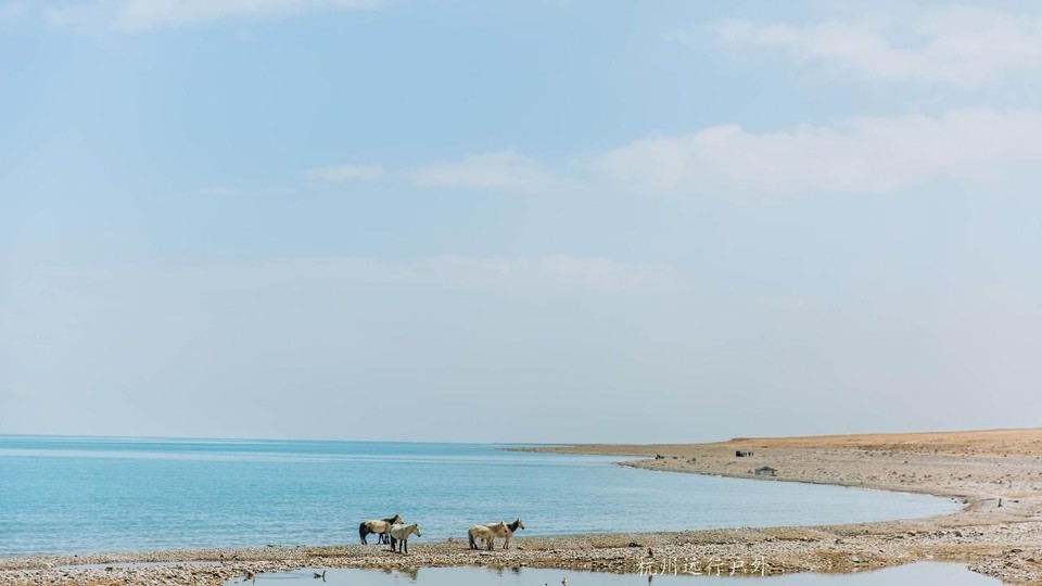 『一直想着，去青海吧，那里有二十种绮丽的梦……』