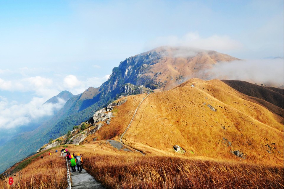 wKgB3FEkSf2APPdRAA3QTNELj6k27