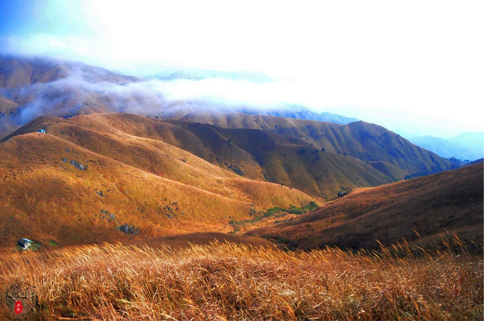 wKgB3FEkSfSAVfTPAA409Q_F5JQ21