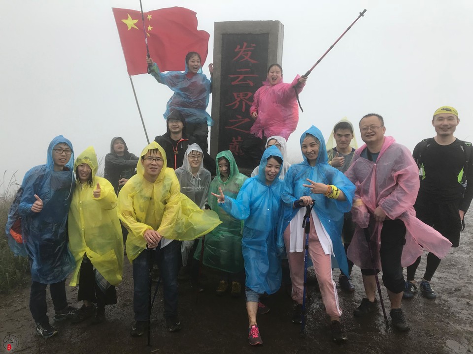 99d30201b21a0d2b57d339c0d91b8fb