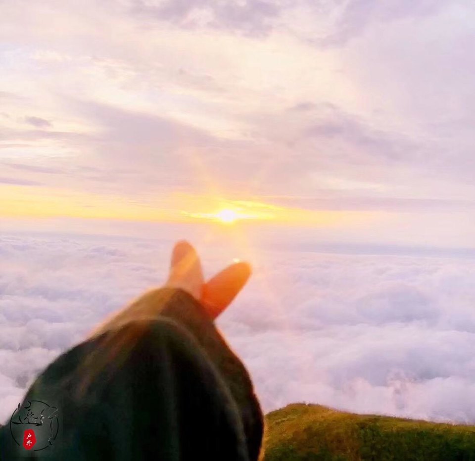 微信图片_20190424160520