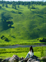 『纵穿东北·暑期特别版』20℃的避暑天堂，在东北的北，从大兴安岭到阿尔山，探寻G331的秘密！7.10出发