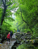 「山野探瀑」 7.4 上王岗徒步溯溪，冷门又绝美的山水秘境！白龙潭瀑布，超级出片！