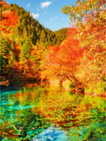 『九寨·峨眉·都江堰』10.10-16 川西经典景色七日之旅，九寨/黄龙/峨眉/都江堰/乐山大佛，一次川西全走完！