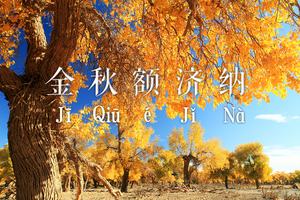 『十月巨献』10.8-14 越野深入腾格里沙漠-行摄绝美额济纳胡杨林-地球之心乌兰湖-7天6晚极致之旅