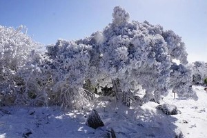 「大降温来袭」 龙王山徒步，浙江周边颜值最高的登山徒步路线，观一场雾凇奇观