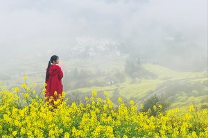 「石潭花海」3.14  徒步皖南最美石潭春色|昌源河大拐弯、醉在下汰花丛里