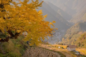 「特价活动」11.9 指南村，秋景正当时，华东最美古村落，山村秋景典范