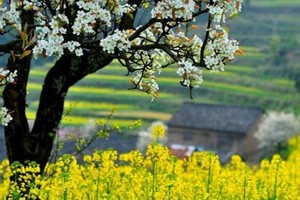 「春日踏青」4.4-5 造访通幽古境仙居公盂，探秘江南的香格里拉