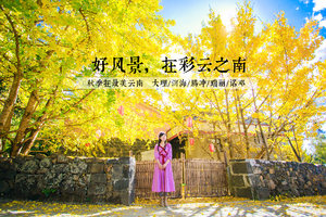 『好风景，在彩云之南』11.22-29 大理、腾冲银杏、热海景区、和顺古镇、瑞丽、芒市、诺邓古村、8天7晚极致之旅