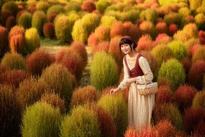 「地肤萌园」11.8/9 遇见最仙的网红植物，打卡现实中的卡通世界~8万株地肤，这次要你好看！