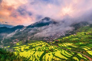 「特价89·胥岭花海」3.28 赏油菜花海，徒步千年古官道，百分之99的杭州人不知道的赏花地！