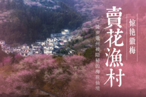 「十里梅海」2.7/2.8 穿越花海，在卖花渔村，只卖花、不卖鱼！