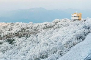 「元旦冰雪世界」1.3 登顶鸬鸟山，误入童话冰雪世界，千山暮雪， 竹林飘雪，雾瀑高山冰草甸！！！