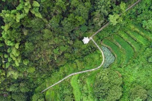 「马岭古道·特价89」11.2 打卡富春江畔醉美古道，闲逛古村、古桥、咖啡、溪流，轻徒步邂逅桐庐慢生活！