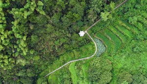 「马岭古道·特价89」11.2 打卡富春江畔醉美古道，闲逛古村、古桥、咖啡、溪流，轻徒步邂逅桐庐慢生活！
